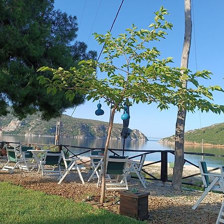 Kartalia Apartment Porto Koufo Dış mekan fotoğraf